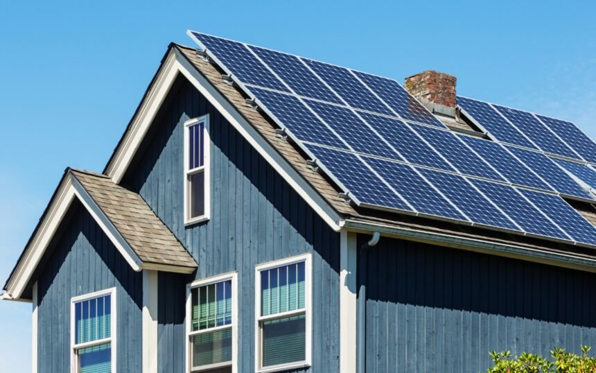 Untitled design (98)