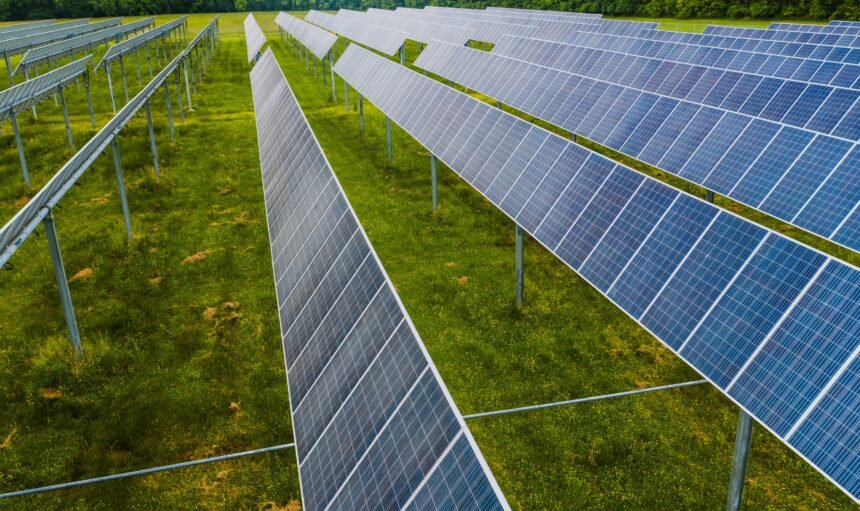 Untitled design (99)